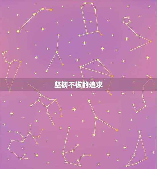 坚韧不拔的追求 坚韧不拔的追求