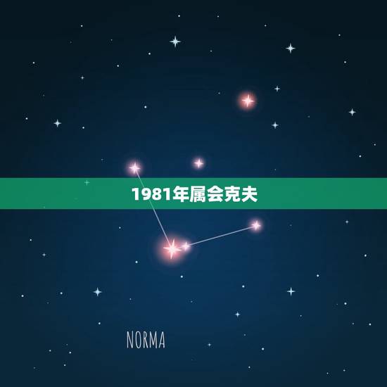 1981年属会克夫，1981年属人的命运