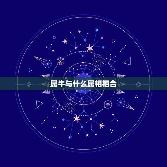 属牛与什么属相相合，属牛的属相和什么属相最合的来