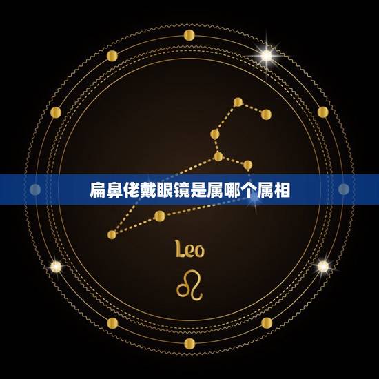 扁鼻佬戴眼镜是属哪个属相，请教这几句广东话怎么说