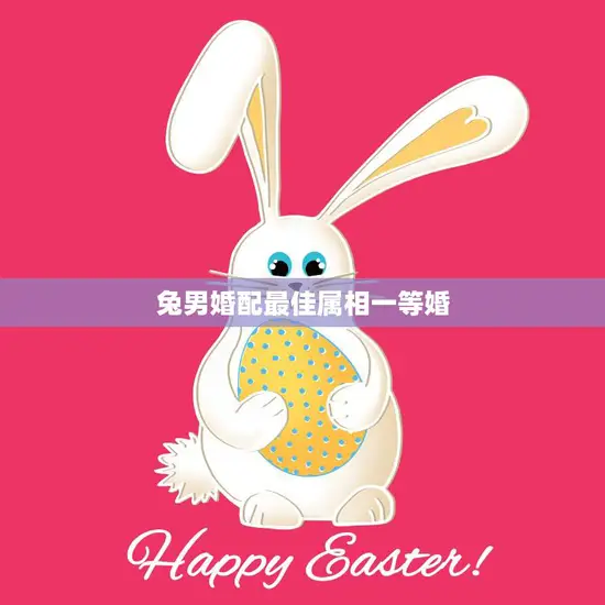 兔男婚配最佳属相一等婚(揭秘最佳婚配属相让你的婚姻幸福美满)