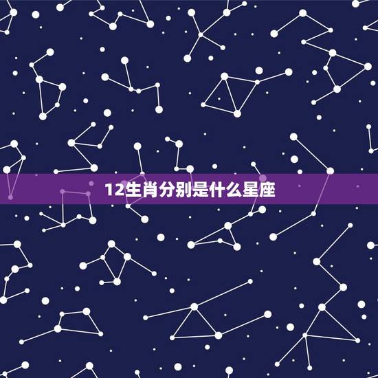 12生肖分别是什么星座，12生肖对应的星座