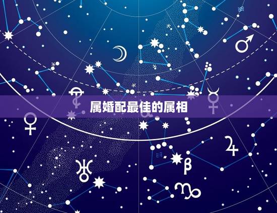 属婚配最佳的属相，属鸡的最佳婚配是