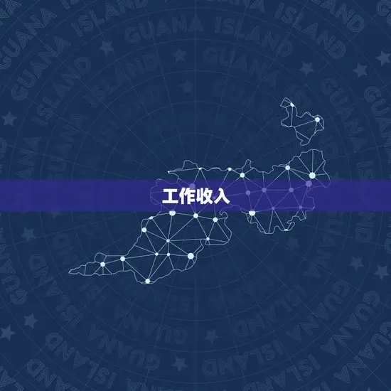 工作收入