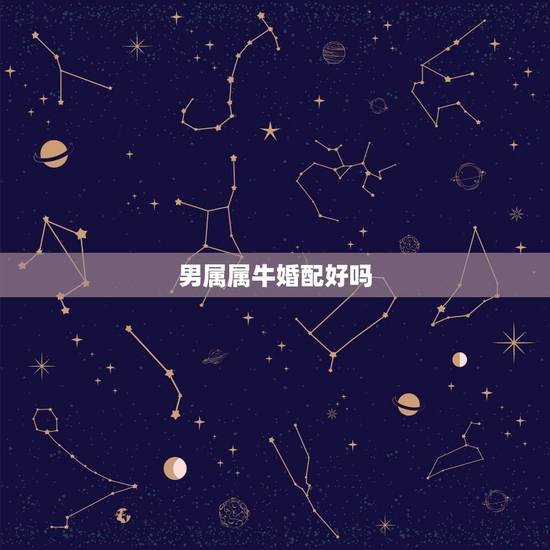 男属属牛婚配好吗,男属属牛配吗?属鸡和属牛配吗 男属属牛婚配好吗,男属属牛配吗?属鸡和属牛配吗