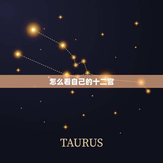 怎么看自己的十二宫，如何查询自己的命盘十二宫
