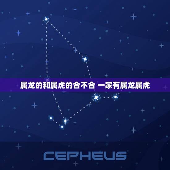 属龙的和属虎的合不合 一家有属龙属虎