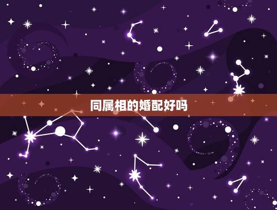 同属相的婚配好吗,和属什么生肖婚配最好 同属相的婚配好吗,和属什么生肖婚配最好