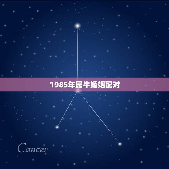 1985年属牛婚姻配对，85年男和85年女都属牛相配吗？