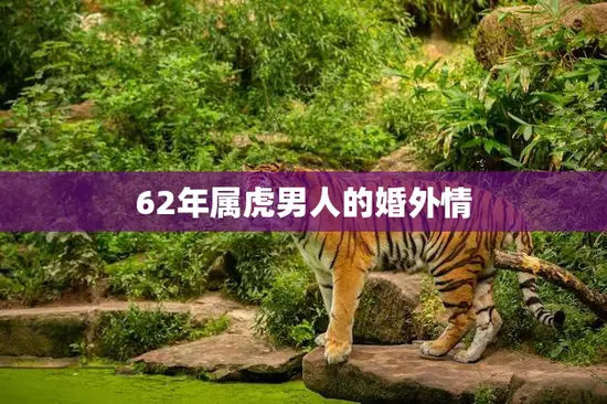 62年属虎男人的婚外情(如何处理)