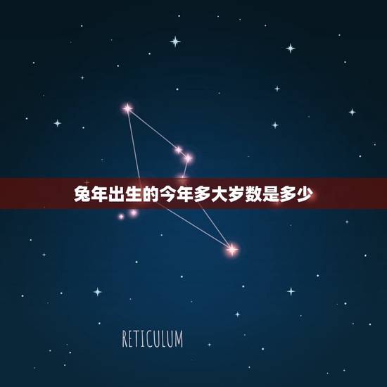 兔年出生的今年多大岁数是多少(兔年出生者年龄计算方法)