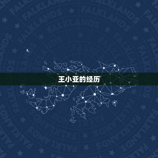 王小亚的经历