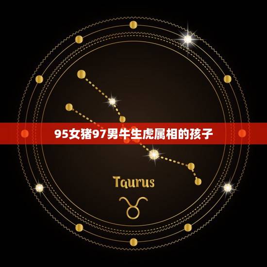 95女猪97男牛生虎属相的孩子，女属猪，男属牛，生孩子什么属相最好？