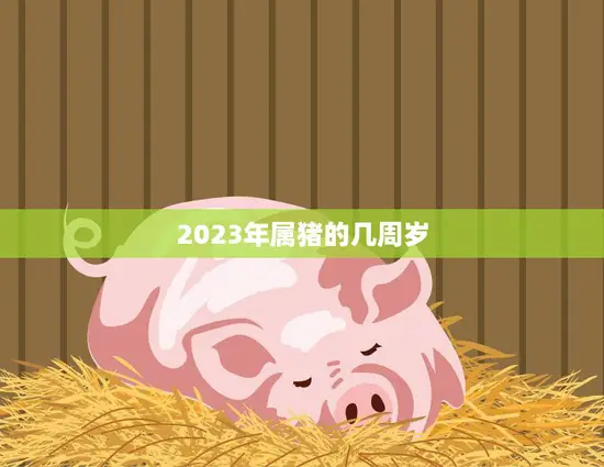 2023年属猪的几周岁(猪年宝宝们的成长秘密) 2023年属猪的几周岁(猪年宝宝们的成长秘密)