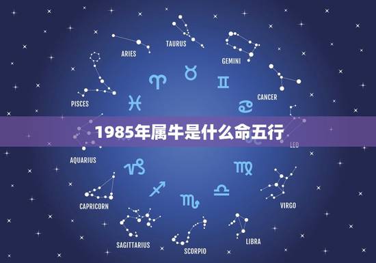 1985年属牛是什么命五行，85年属牛五行什么命