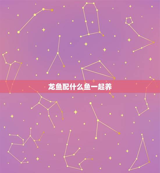 龙鱼配什么鱼一起养，混养须知：这几种鱼和龙鱼一起混养效果绝佳，你知道有