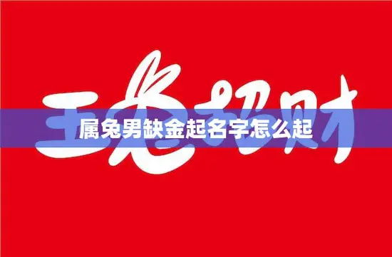 属兔男缺金起名字怎么起(如何为属兔男宝宝起一个富贵吉祥的名字)