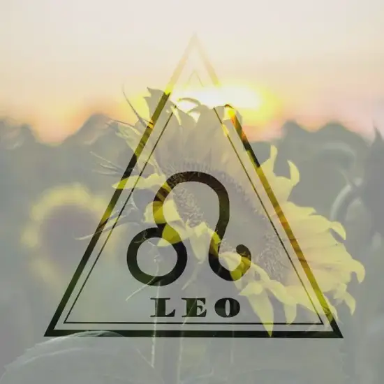 狮子座关系冲突