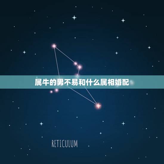 属牛的男不易和什么属相婚配，女人生肖属牛和什么生肖婚配最好