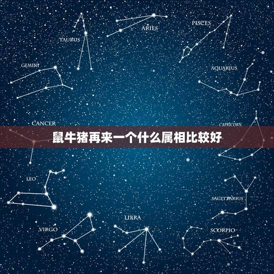 鼠牛猪再来一个什么属相比较好,家里有属牛 鼠 猪 虎 兔还添什么属相好 鼠牛猪再来一个什么属相比较好,家里有属牛 鼠 猪 虎 兔还添什么属相好