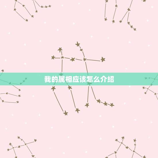 我的属相应该怎么介绍，我们都是93属鸡的 属相不合重不重要啊