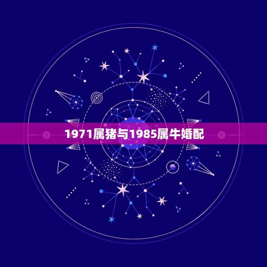 1971属猪与1985属牛婚配，1985年属牛的和1971年属猪的婚姻