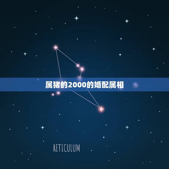 属猪的2000的婚配属相，属相婚配表之属猪的和什么属相最配