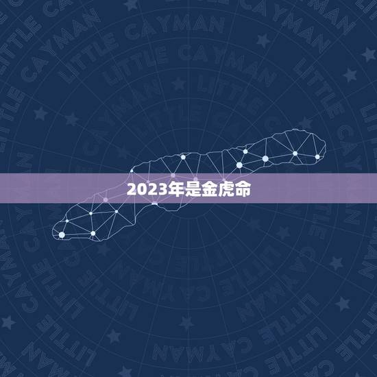 2023年是金虎命，2023年虎年是什么命
