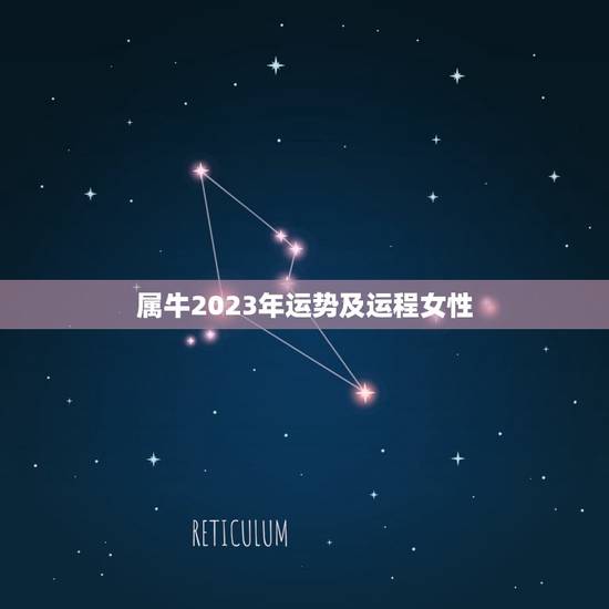 属牛2023年运势及运程女性 属牛人2023年全年运势