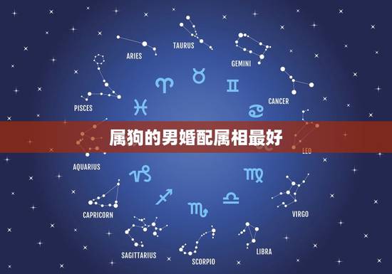 属狗的男婚配属相最好，属狗配什么属相最好