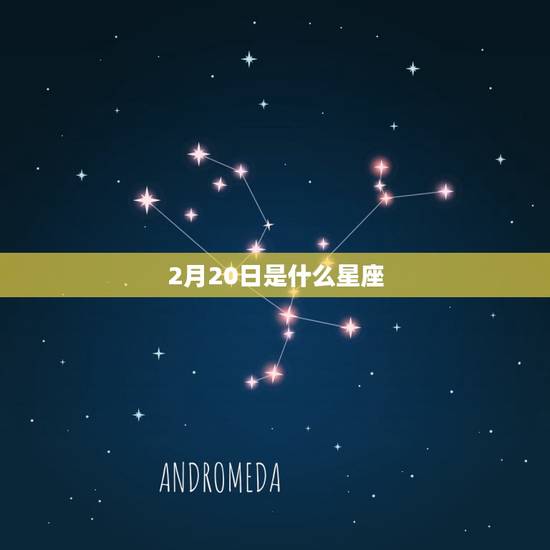 2月20日是什么星座，2月20是什么星座的人
