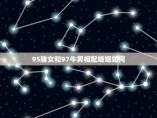 95猪女和97牛男相配婚姻如何(幸福美满还是坎坷不堪)