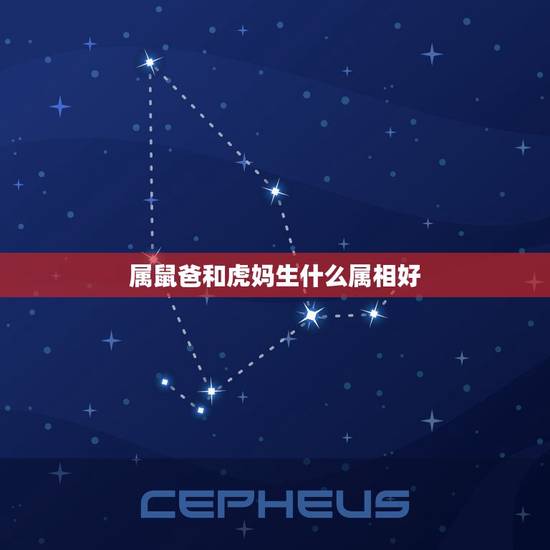 属鼠爸和虎妈生什么属相好，属鼠和属虎生什么属相比较好