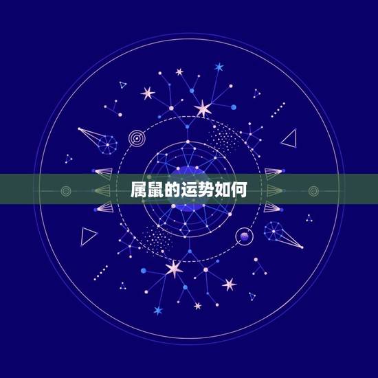 属鼠的运势如何，生肖鼠一生运势怎样？