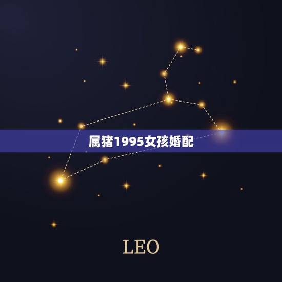 属猪1995女孩婚配,95年属猪最佳婚配属相 属猪1995女孩婚配,95年属猪最佳婚配属相
