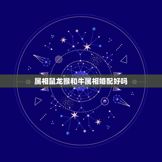 属相鼠龙猴和牛属相婚配好吗,属龙和属牛的相配吗 属相鼠龙猴和牛属相婚配好吗,属龙和属牛的相配吗