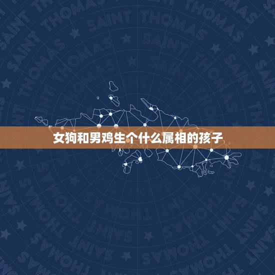 女狗和男鸡生个什么属相的孩子，男属鸡，女属狗，生个什么属相的宝宝好？