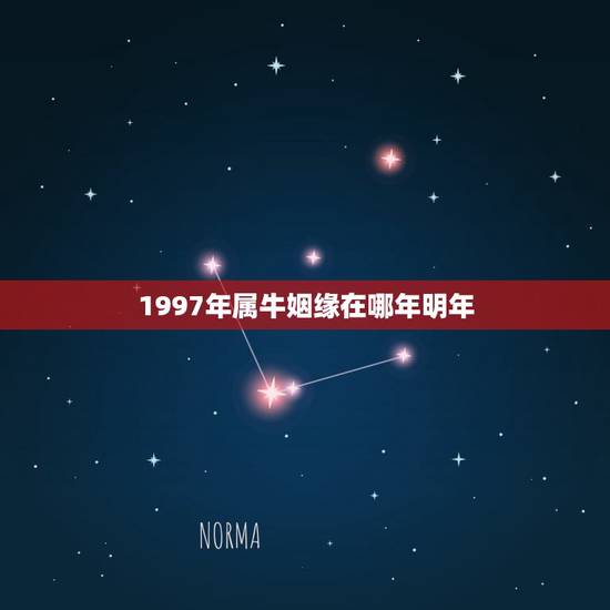 1997年属牛姻缘在哪年明年，97年属牛和属什么才能结婚过一辈子