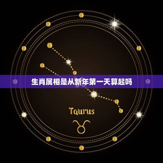 生肖属相是从新年第一天算起吗，生肖年是以哪一天为开始计算的