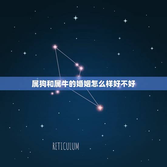 属狗和属牛的婚姻怎么样好不好(介绍星座配对是否靠谱)
