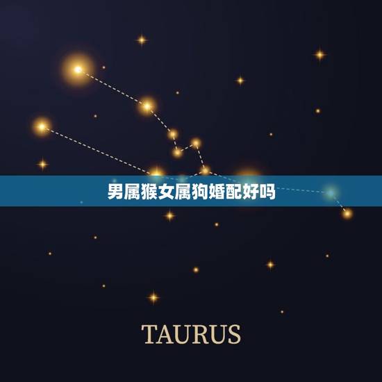 男属猴女属狗婚配好吗，属猴男和属狗女相配吗