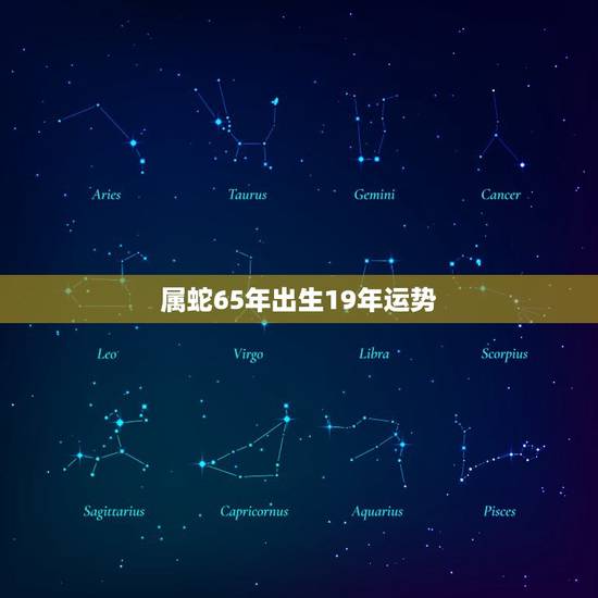 属蛇65年出生19年运势