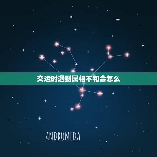 交运时遇到属相不和会怎么,交运的时候是不是不看见相克的属相就行 交运时遇到属相不和会怎么,交运的时候是不是不看见相克的属相就行