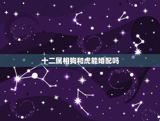 十二属相狗和虎能婚配吗,十二生肖中,生肖狗为什么不能和生肖虎在一起 十二属相狗和虎能婚配吗,十二生肖中,生肖狗为什么不能和生肖虎在一起