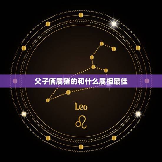 父子俩属猪的和什么属相最佳，属猪的和什么属相最配？