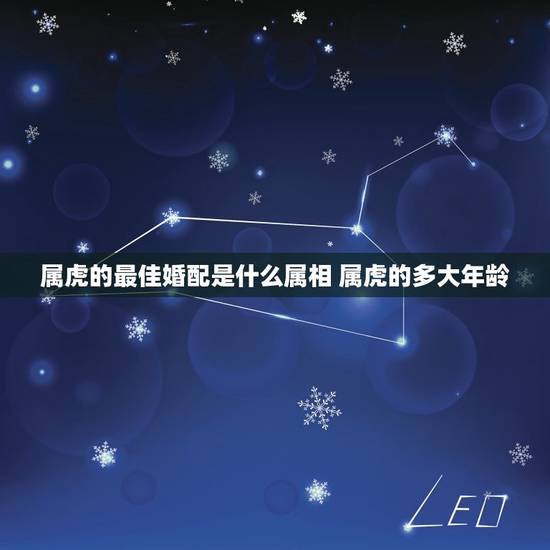 属虎的最佳婚配是什么属相 属虎的多大年龄 属虎的最佳婚配是什么属相 属虎的多大年龄