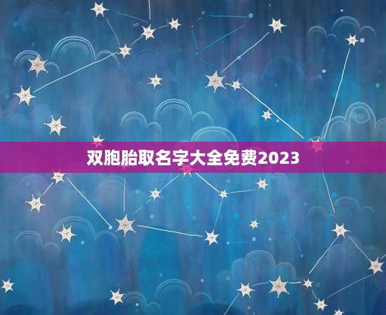 双胞胎取名字大全免费2023，双胞胎起名字2023免费八字起名？