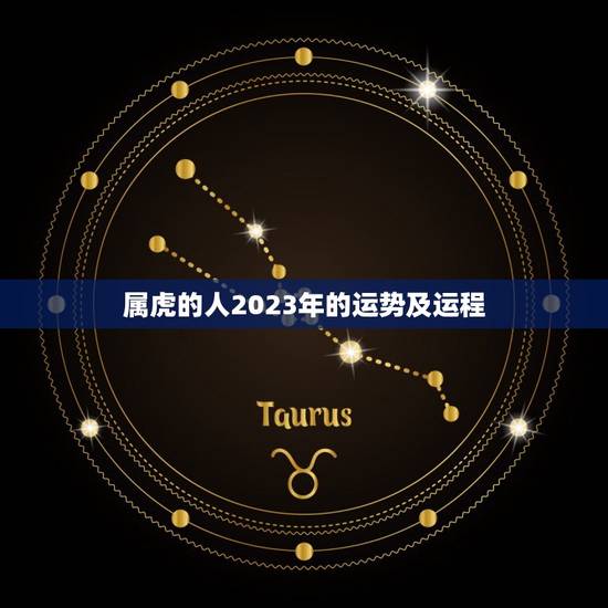 属虎的人2023年的运势及运程