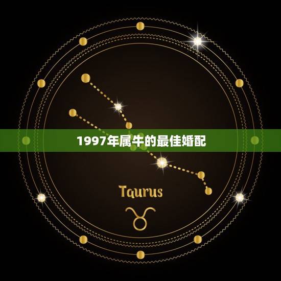 1997年属牛的最佳婚配 九七年属牛的婚姻配对