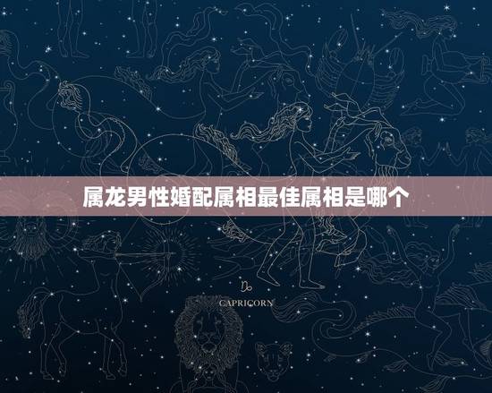 属龙男性婚配属相最佳属相是哪个，属龙的男人和什么属相最配 男属龙属相婚